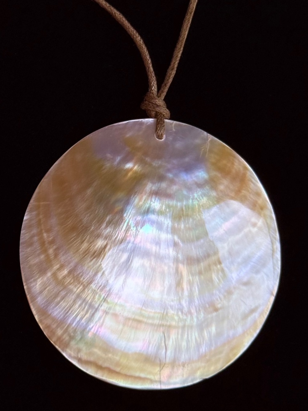 Shell Necklace - Picture 2 of 3
